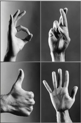 4 different hand signals, an OK signal, fingers crossed, thumbs up and open hand.